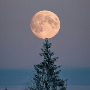 金大乔资料,金大乔最新歌曲,金大乔MV视频,金大乔音乐专辑,金大乔好听的歌