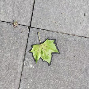 谢洧资料,谢洧最新歌曲,谢洧MV视频,谢洧音乐专辑,谢洧好听的歌