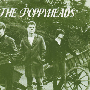 The Poppyheads