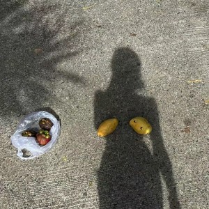 第二类我-阿黛鹅