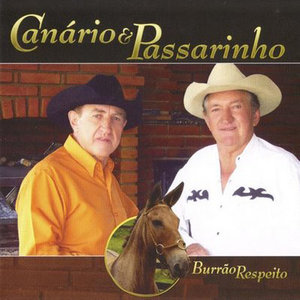 Canario E Passarinho