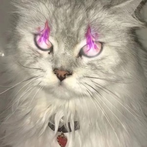 银河百香果资料,银河百香果最新歌曲,银河百香果MV视频,银河百香果音乐专辑,银河百香果好听的歌