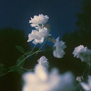 嘎嘎嘎咖喱yep资料,嘎嘎嘎咖喱yep最新歌曲,嘎嘎嘎咖喱yepMV视频,嘎嘎嘎咖喱yep音乐专辑,嘎嘎嘎咖喱yep好听的歌