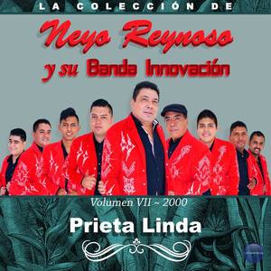 Neyo Reynoso y Su Banda Innovación