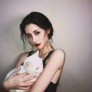 言心 - 凤啼风华