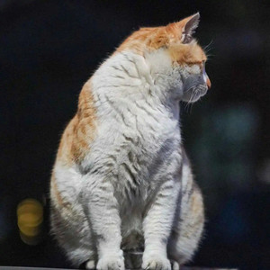 在自己的世界里自得其乐 (DJ 咚鼓版)