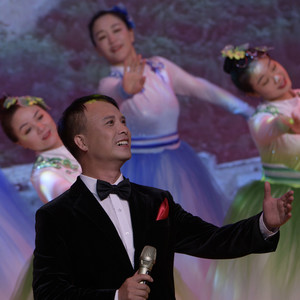 树的姐妹树的家乡