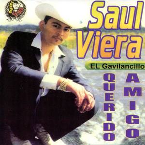 Saul Viera "El Gavilancillo"