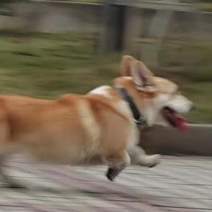 肖艺凡资料,肖艺凡最新歌曲,肖艺凡MV视频,肖艺凡音乐专辑,肖艺凡好听的歌