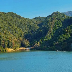 连山雀资料,连山雀最新歌曲,连山雀MV视频,连山雀音乐专辑,连山雀好听的歌