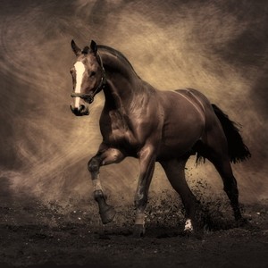 融大仙儿资料,融大仙儿最新歌曲,融大仙儿MV视频,融大仙儿音乐专辑,融大仙儿好听的歌