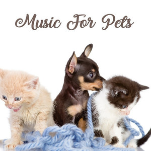 Music For Pets