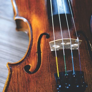 Color Seeker资料,Color Seeker最新歌曲,Color SeekerMV视频,Color Seeker音乐专辑,Color Seeker好听的歌