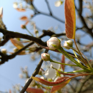 夜獨傷资料,夜獨傷最新歌曲,夜獨傷MV视频,夜獨傷音乐专辑,夜獨傷好听的歌