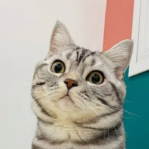 常宏资料,常宏最新歌曲,常宏MV视频,常宏音乐专辑,常宏好听的歌