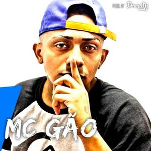 MC Gão资料,MC Gão最新歌曲,MC GãoMV视频,MC Gão音乐专辑,MC Gão好听的歌