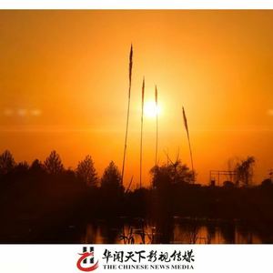 华闻热线资料,华闻热线最新歌曲,华闻热线MV视频,华闻热线音乐专辑,华闻热线好听的歌