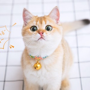 阑倾资料,阑倾最新歌曲,阑倾MV视频,阑倾音乐专辑,阑倾好听的歌