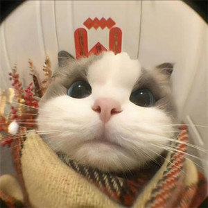 我想我会更好资料,我想我会更好最新歌曲,我想我会更好MV视频,我想我会更好音乐专辑,我想我会更好好听的歌