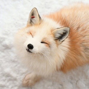 我的悲伤是水做的