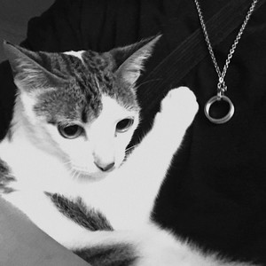 巨人羊资料,巨人羊最新歌曲,巨人羊MV视频,巨人羊音乐专辑,巨人羊好听的歌