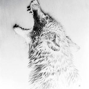 Modesty资料,Modesty最新歌曲,ModestyMV视频,Modesty音乐专辑,Modesty好听的歌