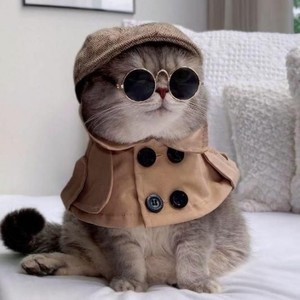 林千岁资料,林千岁最新歌曲,林千岁MV视频,林千岁音乐专辑,林千岁好听的歌