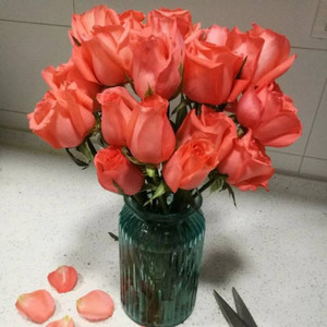 乐生资料,乐生最新歌曲,乐生MV视频,乐生音乐专辑,乐生好听的歌