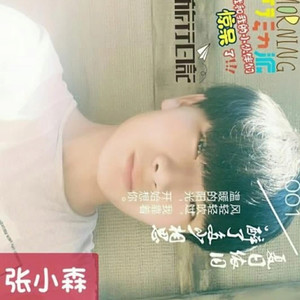 张小森资料,张小森最新歌曲,张小森MV视频,张小森音乐专辑,张小森好听的歌