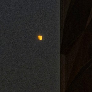 漫话 (翻自 沙一汀)