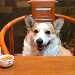 杨梦欣资料,杨梦欣最新歌曲,杨梦欣MV视频,杨梦欣音乐专辑,杨梦欣好听的歌