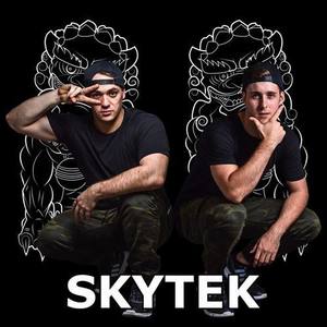 Skytek