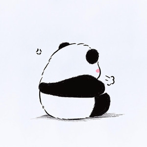 失眠飞行
