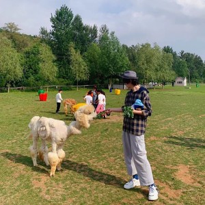 SAO狗周 - 夏天,热死了 (伴奏)