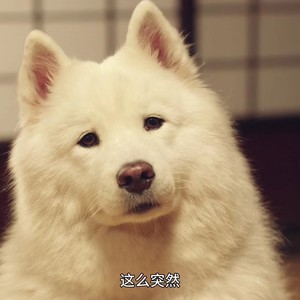 韩杲资料,韩杲最新歌曲,韩杲MV视频,韩杲音乐专辑,韩杲好听的歌