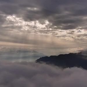 七色堇资料,七色堇最新歌曲,七色堇MV视频,七色堇音乐专辑,七色堇好听的歌