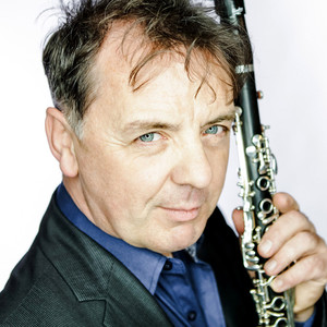 3 Romanzen, Op. 94 (Arr. for Clarinet & Harp) : No. 1, Nicht schnell