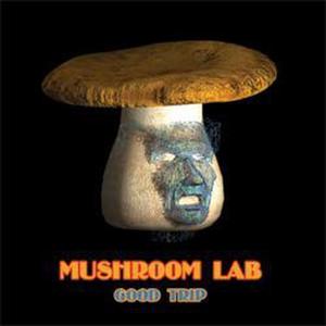 Mushroom Lab