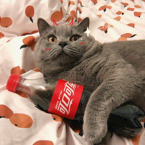 顾野资料,顾野最新歌曲,顾野MV视频,顾野音乐专辑,顾野好听的歌