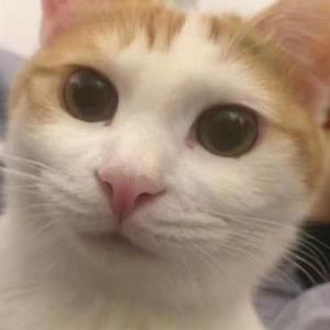 KD资料,KD最新歌曲,KDMV视频,KD音乐专辑,KD好听的歌