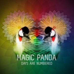 Magic Panda