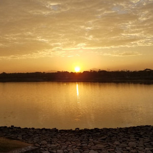 贵贵资料,贵贵最新歌曲,贵贵MV视频,贵贵音乐专辑,贵贵好听的歌