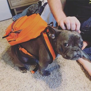 与你的浪漫逃亡 (Demo)