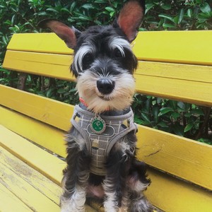 淺淺资料,淺淺最新歌曲,淺淺MV视频,淺淺音乐专辑,淺淺好听的歌