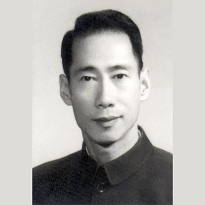 春节序曲 (网友改编)