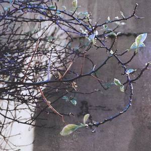 意不意外资料,意不意外最新歌曲,意不意外MV视频,意不意外音乐专辑,意不意外好听的歌