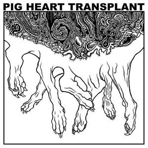 Pig Heart Transplant