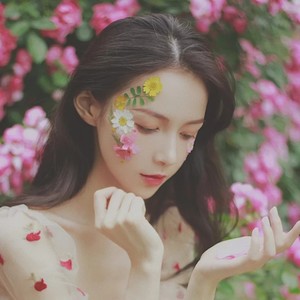会变的葡萄资料,会变的葡萄最新歌曲,会变的葡萄MV视频,会变的葡萄音乐专辑,会变的葡萄好听的歌