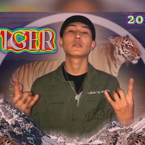 YoungTiger资料,YoungTiger最新歌曲,YoungTigerMV视频,YoungTiger音乐专辑,YoungTiger好听的歌