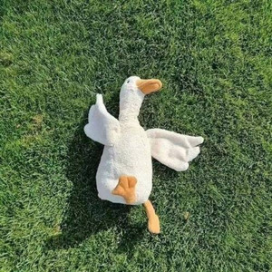 阿七资料,阿七最新歌曲,阿七MV视频,阿七音乐专辑,阿七好听的歌